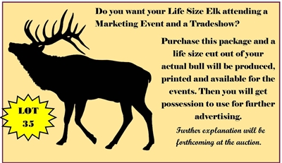 Marketing Opportunity - Life size cut out of your bull 